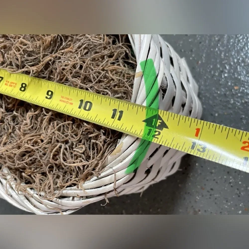 12” Basket! White, Infinity Shape No Handle Prefilled with Moss EPC